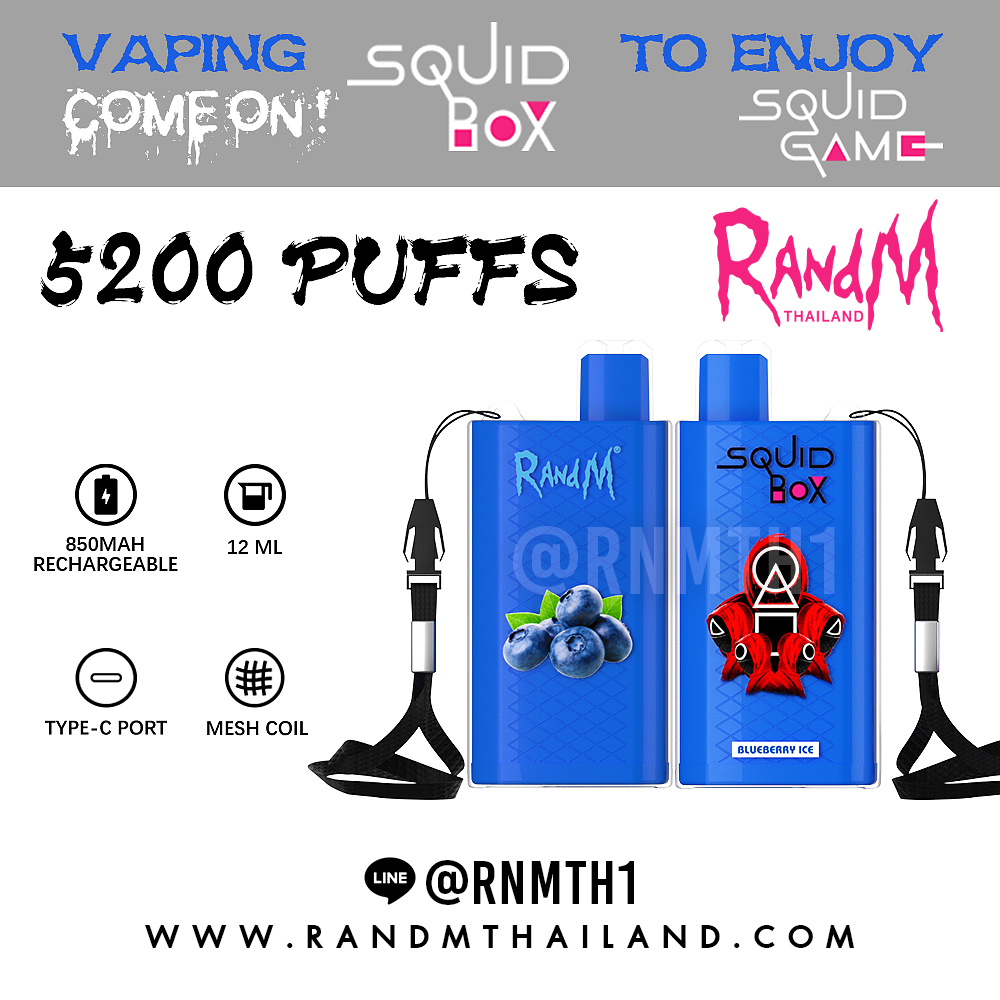 RandM SQUID BOX 5200 Puffs